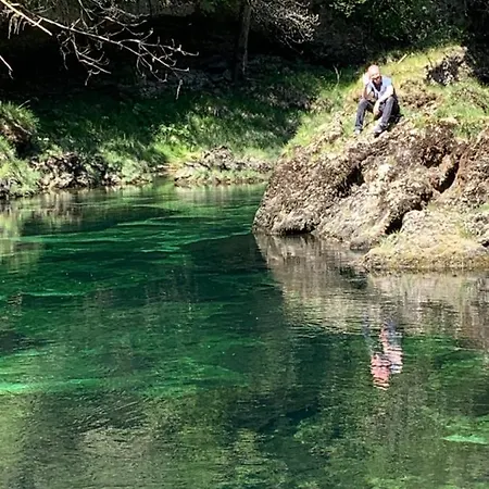 Ferienhaeuschen Am Traunsee Hébergement de vacances Altmünster