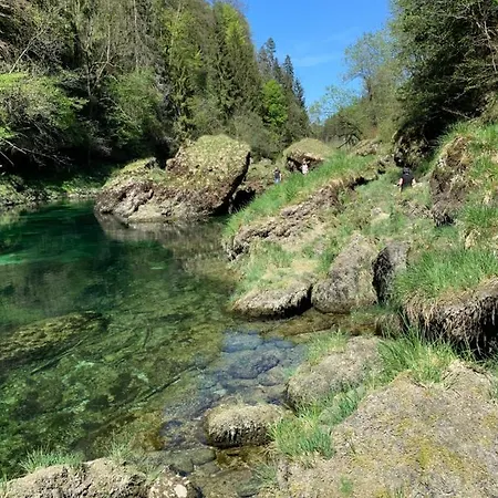 Ferienhaeuschen Am Traunsee