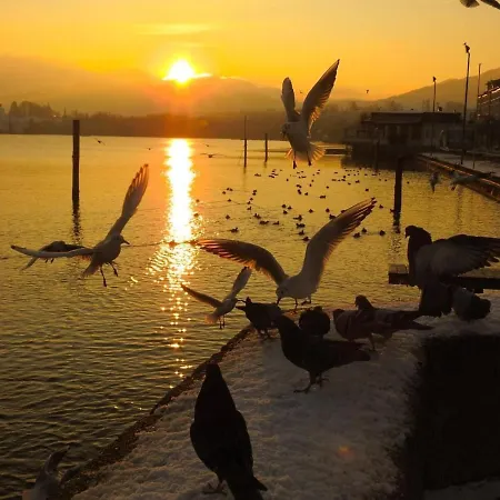 Ferienhaeuschen Am Traunsee Vakantiehuis