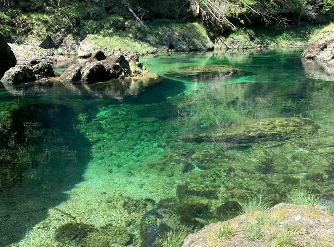 Ferienhaeuschen Am Traunsee Altmünster