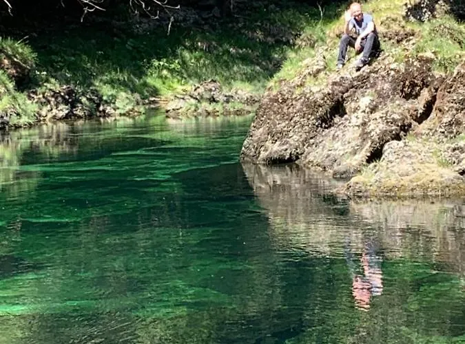 Ferienhaeuschen Am Traunsee Ferienhaus Altmünster