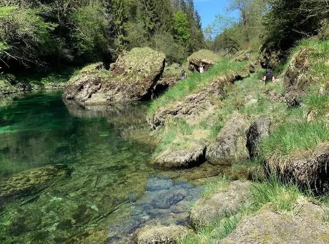 Ferienhaeuschen Am Traunsee