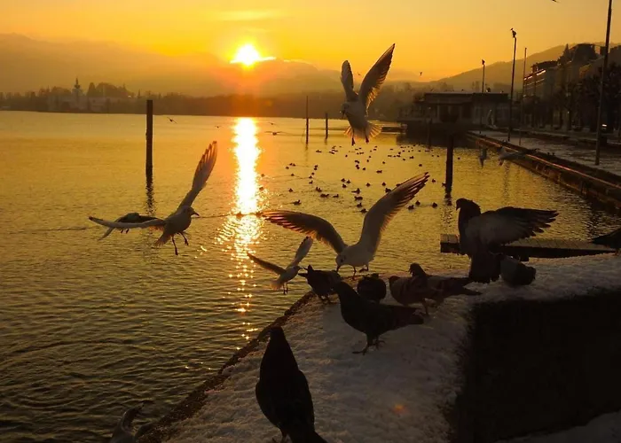 Ferienhaeuschen Am Traunsee Tatil Evi